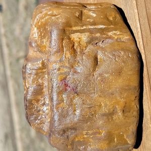 2lbs 2.4oz Az rainbow naturally smooth petrified wood